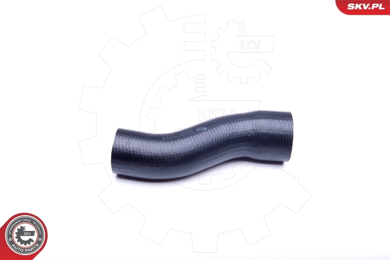 Fuel Hose